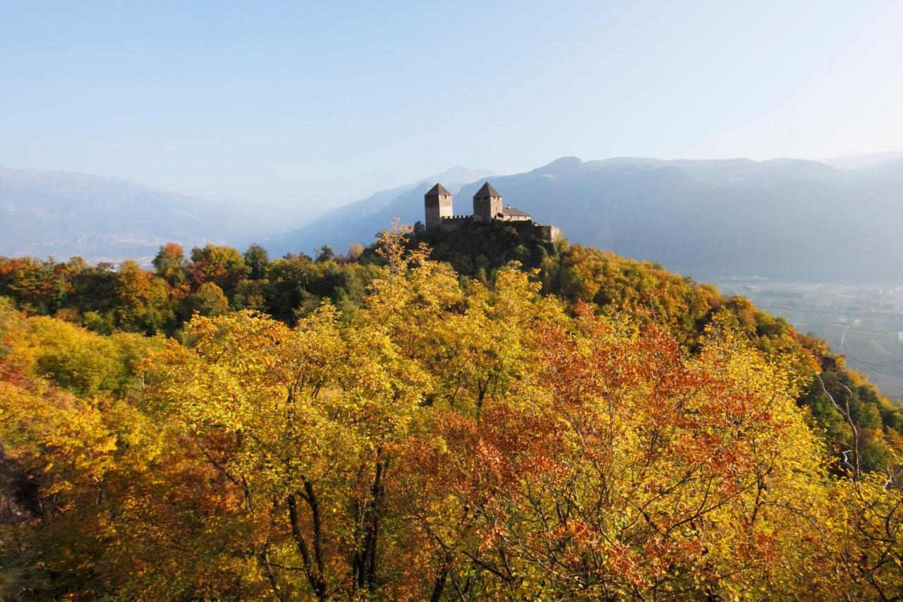 Panoramic Suites Winzerhoehe シェーナ エクステリア 写真
